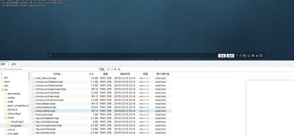 解决云服务器 云vps等修改主机 host 文件后重启还原问题-亚盟源码